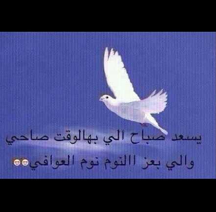 واحد من النــاس Twitterissa يسعد صباح اللي بهالوقت صاحي واللي بعز النوم نوم العوافي Http T Co Uvxe9vcy