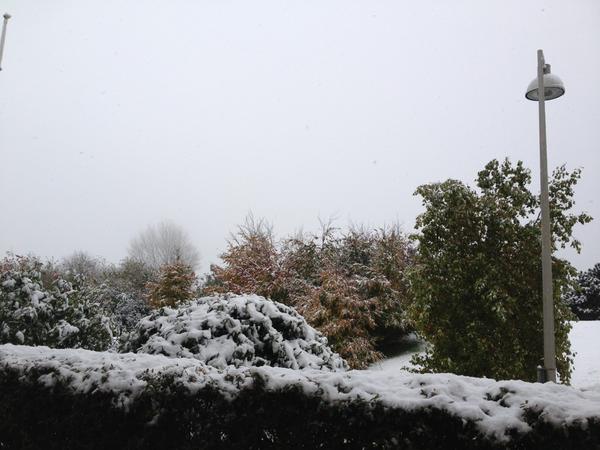 heatherfellnews tweet picture