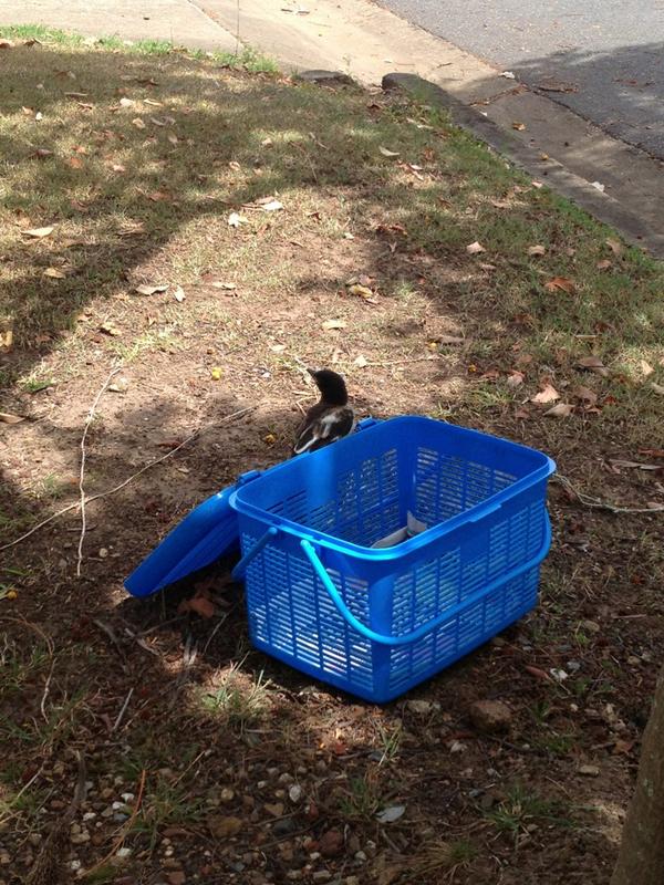 LexieMM's tweet image. 