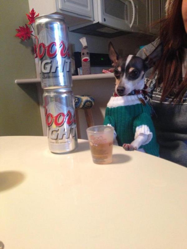 MSUpartystories's tweet photo. Photo Contest Finalist #4 @Michelleloooooo http://t.co/esC283Dl