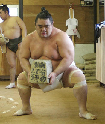 大相撲 若の里関 西岩親方 だっはっは まとめ Togetter