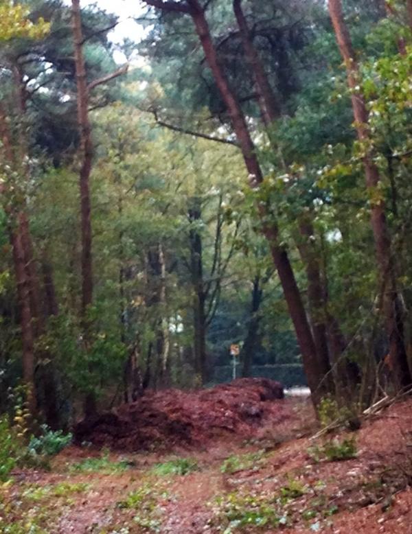 Nieuwe gemeente stortplaats : Sonse bos ??