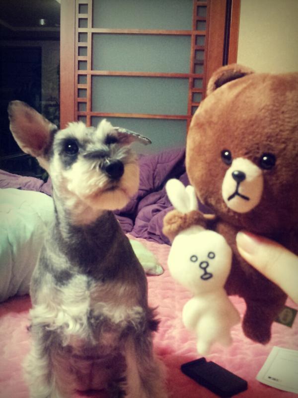 migo_k's tweet photo. @recou 인형을 갈구하는 매의눈이 아니라 견의눈 http://t.co/k0bWApVI