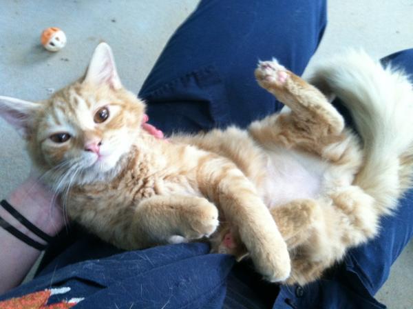 Kendra.... super sweet