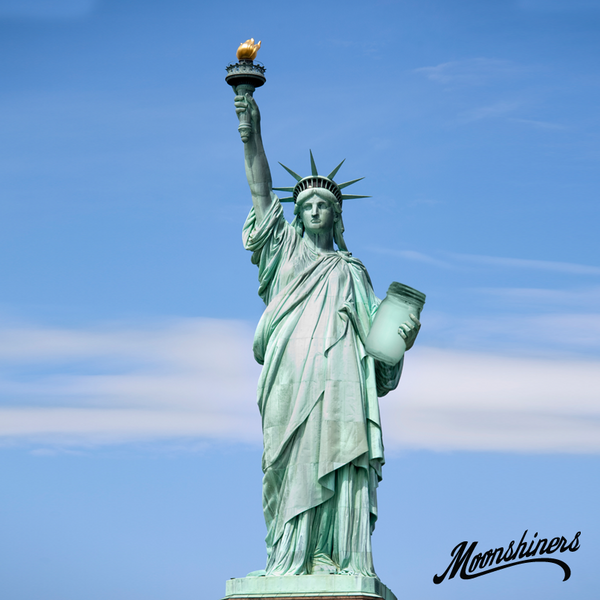 Tickle4Pres's tweet photo. A vote for Tickle is a vote for a new America, and Lady Liberty is already excited. #tickle4president http://t.co/4Xjxp72g