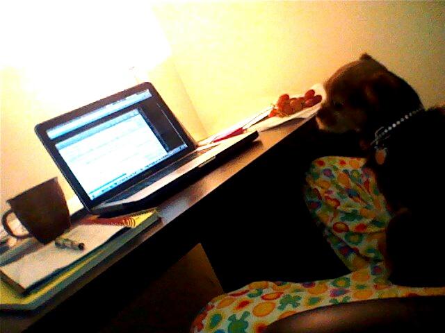 Watch Samantha Raye Tomchik's leaked NSFW photo on TwXstars