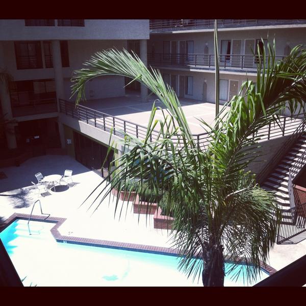 christianseven's tweet image. 🎶Go To The Mo🎶 my theme song right now... #hotellife #LateNights oh and that #773LOVE #GETINTUNESTUPID #CHI 
@Jeremih