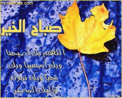 الحبوب (@_seed123) on Twitter photo 