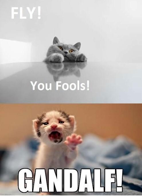 sophabelle's tweet photo. Haha! http://t.co/iPWh1EP9
