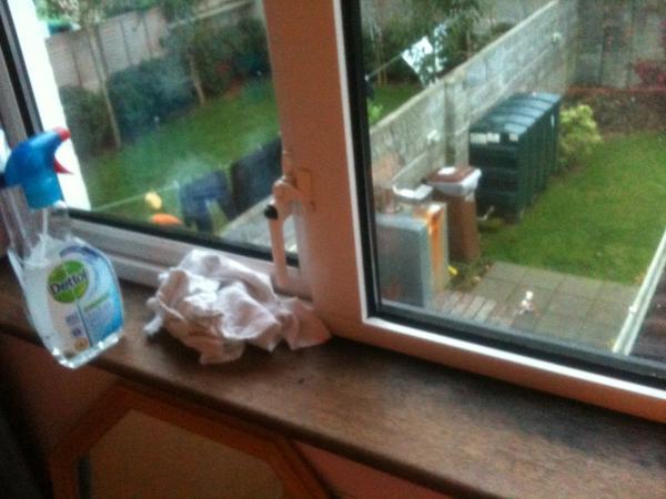 aideenhughes1's tweet image. @Hannah_Moynihan window sill is my bitch ;) #whoownsthiscleanroom? #ohyeahiforgot #me