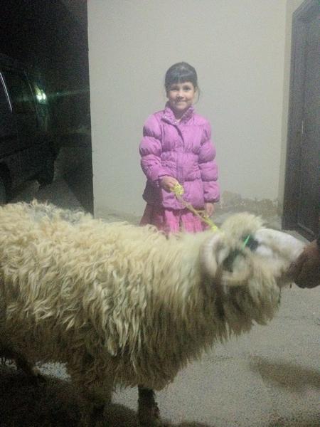 omarsadi1980's tweet photo. كل عام وانتم بخير وتقبل الله منا ومنكم ؛) http://t.co/6Ma8OagH