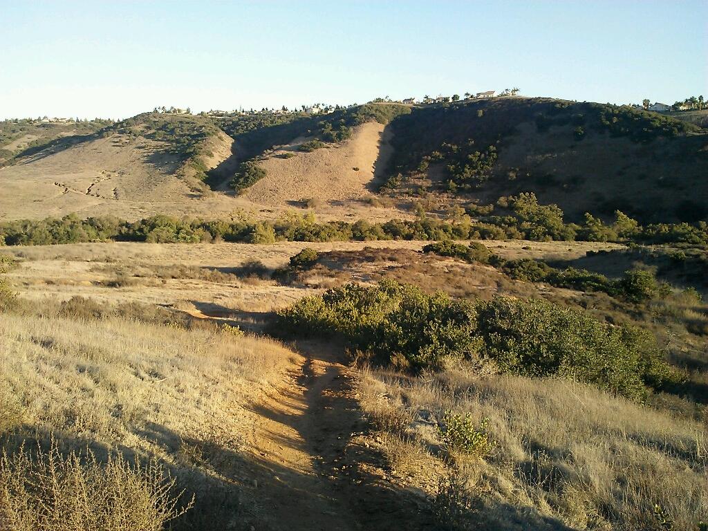 A6F4gQACcAAy1Tn.jpg:large