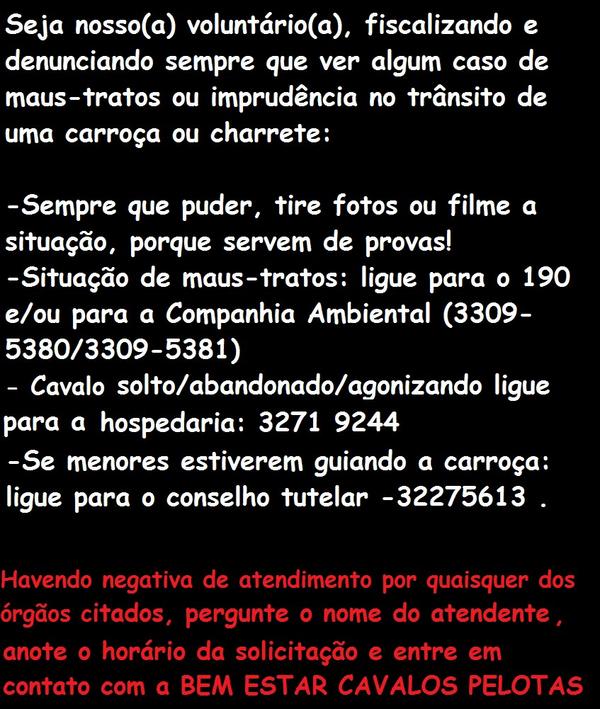 SOSAnimaisPel's tweet photo. Importante, para gravar no telefone!! Fique atento. http://t.co/IUJJM9vU