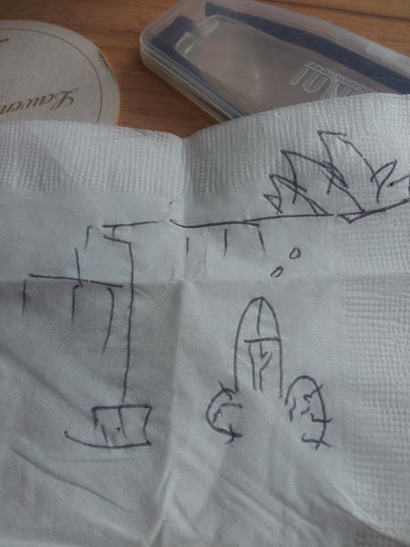 The usual napkin stuff.