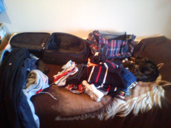 peerssonjohanna's tweet image. LETS DO THIS! #PackingLikeAPro