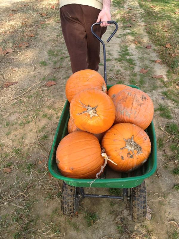 falgo23's tweet photo. Now that's what I call a wagon.. http://t.co/AWORa0ta