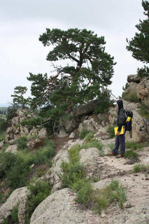 Scoping out Zurkh Uul in Mongolia w/ Bayrbaatar and <a href="/byambasu/">Brima Kojeh Yambasu</a> #FieldPhotoFriday