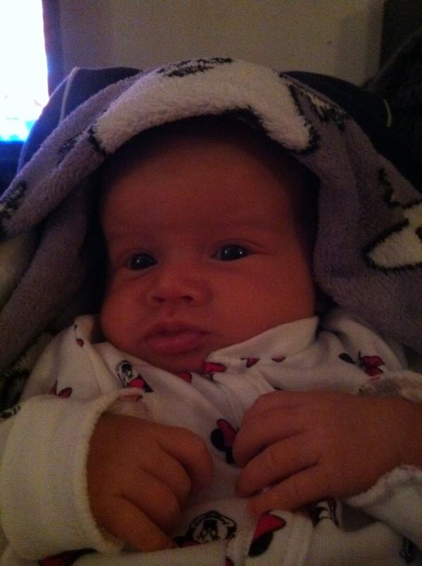 utneolsen's tweet photo. Molly.! http://t.co/agN8ztBZ