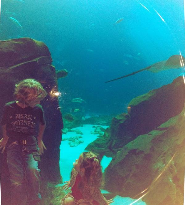 Elygutierrez19's tweet photo. My munchkins also enjoying nature... http://t.co/9DOpXqa6