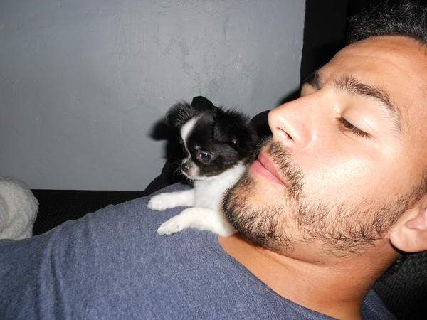 mistoufle et @tompoitre devant madame Doubtfire! héhé @pyks56