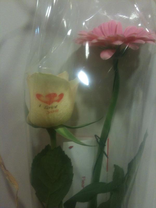 Desprekenderoos's tweet photo. Met romantische tekst http://t.co/2awH4sb5