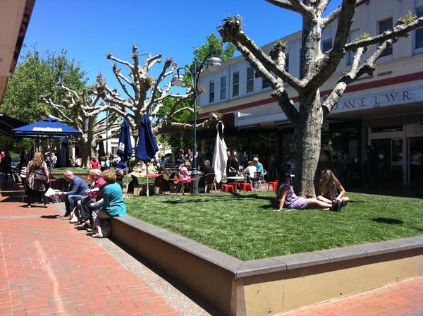 Voices_Forest's tweet photo. Voices in the Forest flash mobs Manuka Lawns #Voices #likecanberra http://t.co/3S7xrpQO