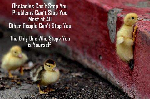 The only one who stops you is yourself...!!
bitly.com/ONsgnj