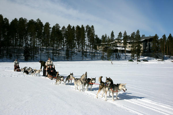 KailasViaggi's tweet photo. LAPPONIA FINLANDIA con i cani da slitta 23-27-30dicembre2012 http://t.co/0hptxRpc #Viaggi #Vacanze #Turismo #Avventura http://t.co/23fKgeqm