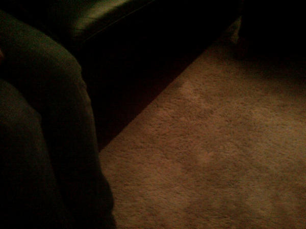 frowijn's tweet image. 