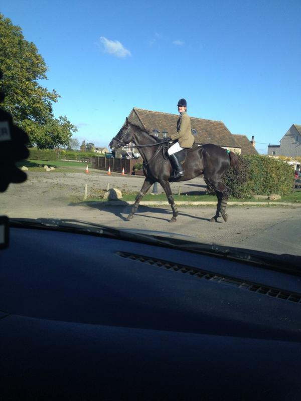 torsturgis's tweet photo. @PFNicholls Denman loving hunting with the Beaufort http://t.co/RxPHLUcB