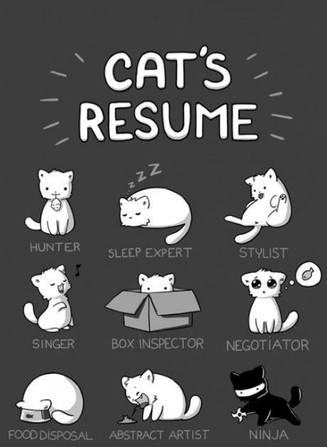 CatFoodBreath's tweet photo. http://t.co/ucCvxQQo