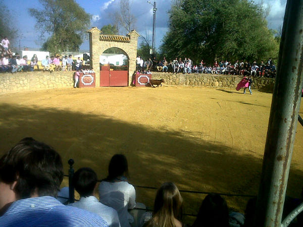 Isasinmas's tweet photo. Capea Guadaira @CMlaluz http://t.co/T660OfQC