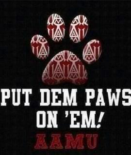 MCC 2k12!! #1 swac #aamu>>>>> #myasu http://t.co/2xDXmZK5<a href="/tag/aamu"class="tags">#aamu</a><a href="/tag/myasu"class="tags">#myasu</a>