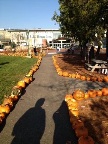 HomeCheckinME's tweet image. #Pumpkin weekend at Beans