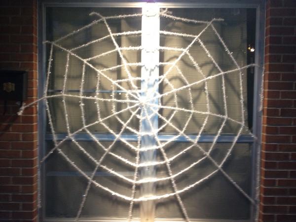 D_Pims's tweet photo. The spiders are out of control this season. Went for a run and came back to this. Brutal. http://t.co/uMio6ygO