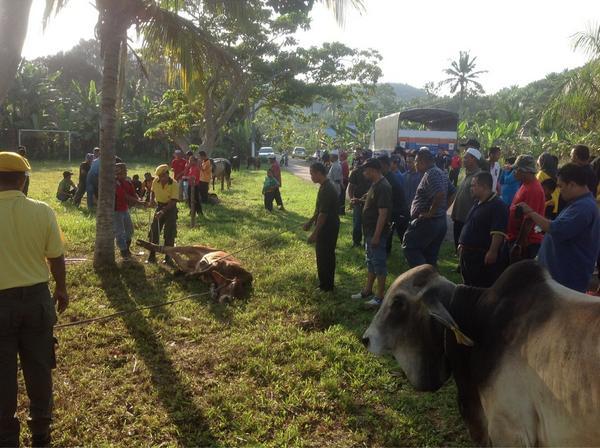 Majlis Qurban SEMBRONG di Kg.Sri Tambak #QurbanSembrong