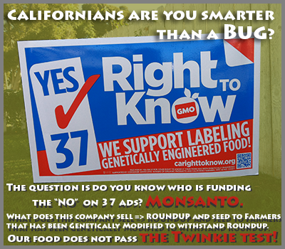 TaaDaaGina's tweet image. Californians are you smarter than a Bug? Biggest "No on 37" funder is Roundup Monsanto bit.ly/TmROHr  #Prop37