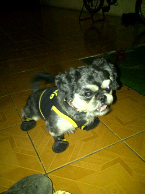 Cyder On Twitter Realkris14 Ils Sullifx Nihhh Http T Co