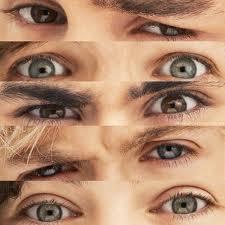 JulyaWebster tweet picture