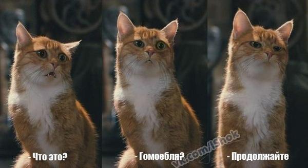 iiotc's tweet image. #ТРАХАЙТЕСЬМУЖИКИ