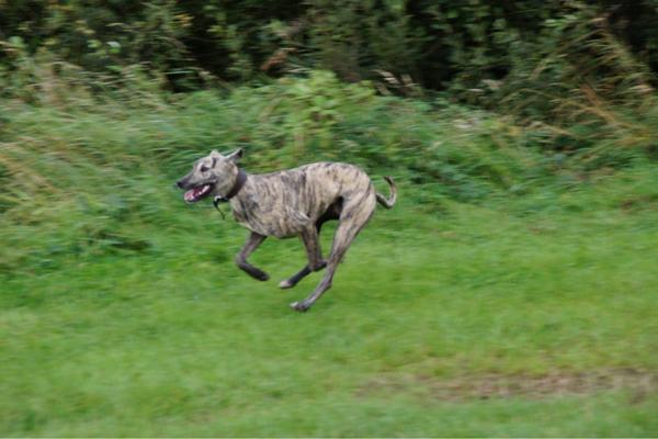 busterbutton tweet picture