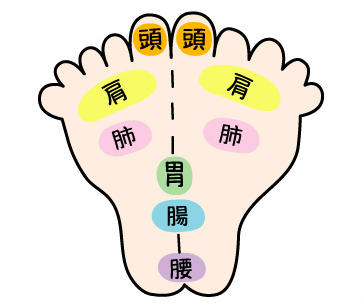 足ツボのtwitterイラスト検索結果 古い順 足ツボのtwitterイラスト検索結果 古い順