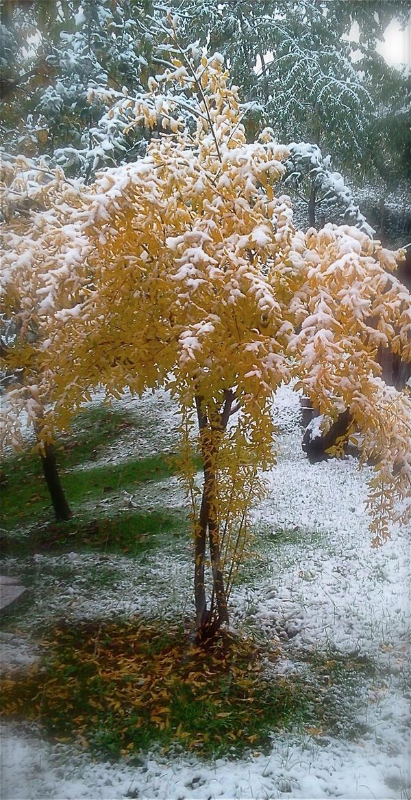 bianchiilaria's tweet image. #documentare...