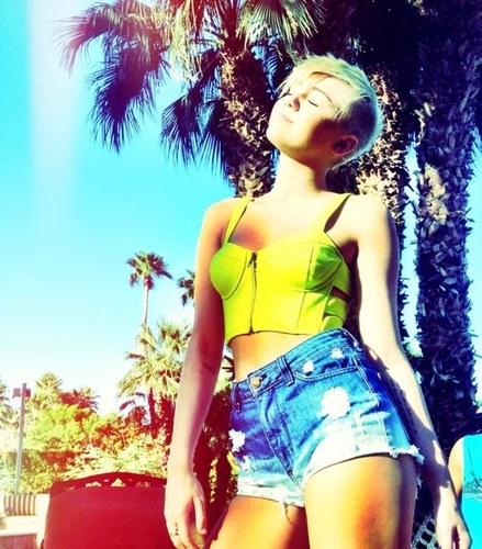 stefi.cyrus tweet media