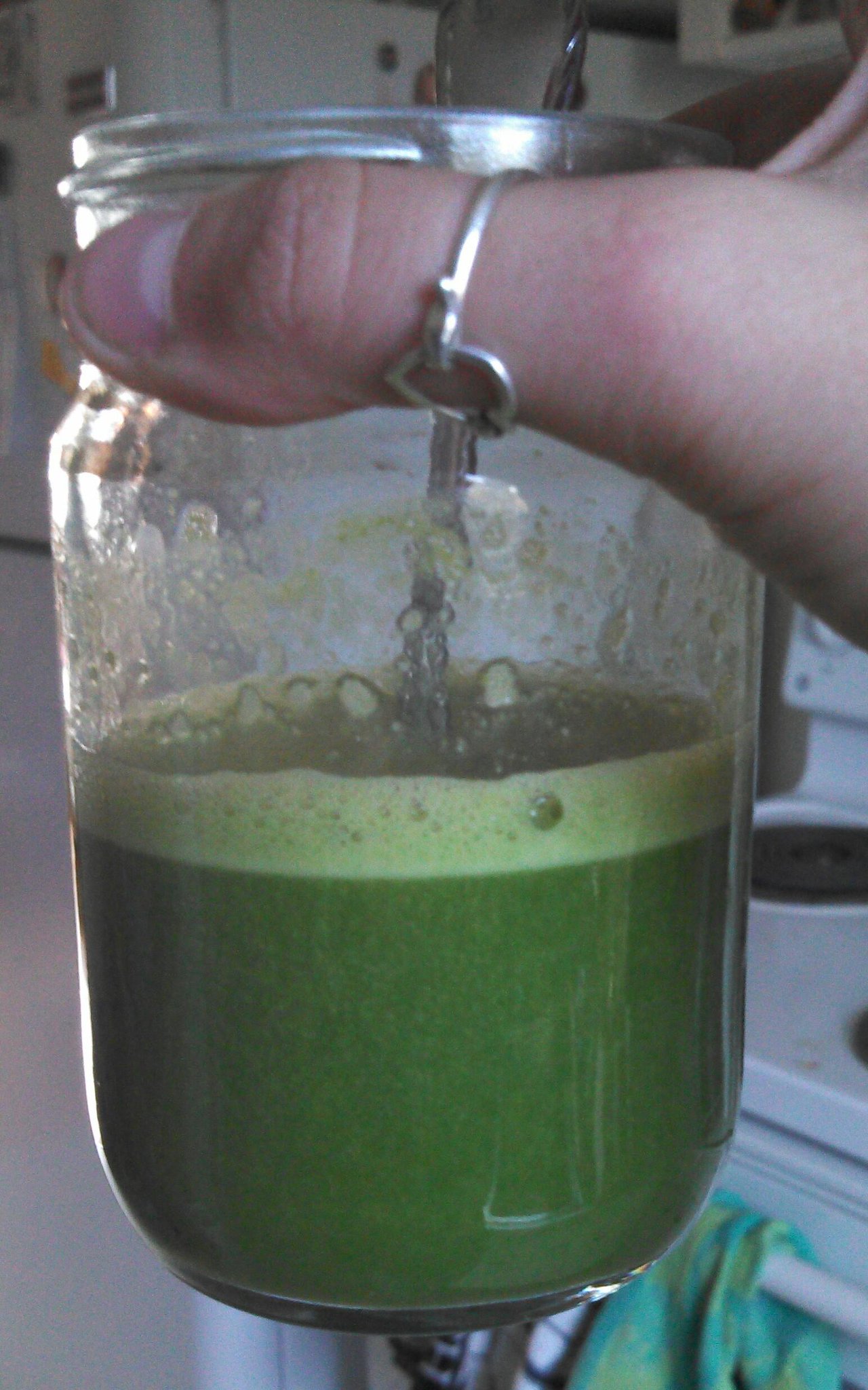 Spinach, Grape, Apple, Ginger