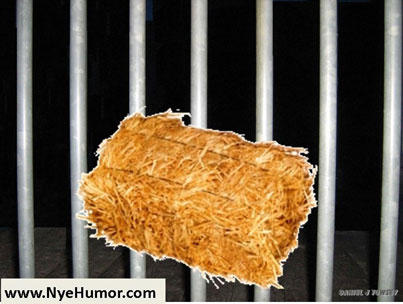 NyeHumor's tweet image. How did the hay stack get out of prison? He made BALE! #NyeHumor