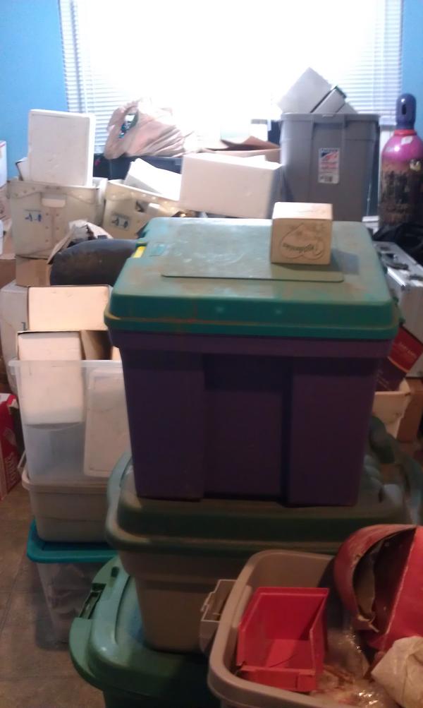 dclamps's tweet image. My basement was emptied into my kitchen. #LBproblems #SandyProblems