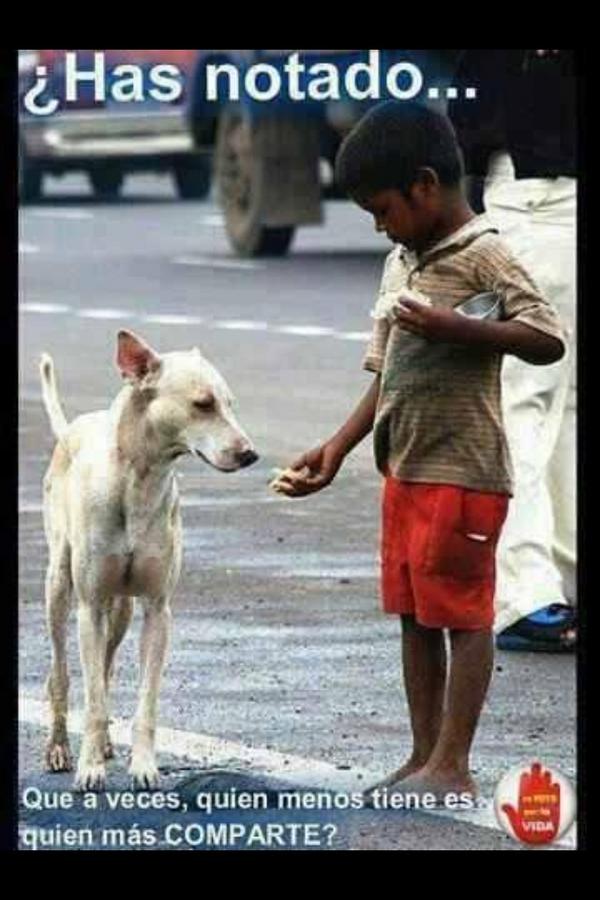 Has notado que a veces quien menos tiene es quien más COMPARTE?...