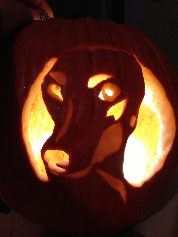 devanschneider's tweet photo. And the puppy pumpkins are done!  I present Bella... http://t.co/xwLQ5igc
