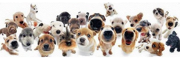 SamoaLoungeCafe's tweet photo. Chicos, hoy en SAMOA os damos el día libre ..... ¡¡¡ Descansad que viene un finde laaaaargo !!! :-) http://t.co/jTT7glhB